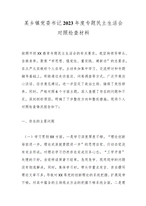 某乡镇党委书记2023年度专题民主生活会对照检查材料.docx