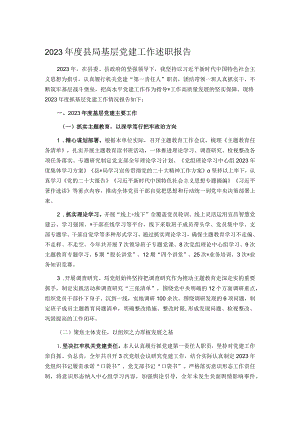 2023年度县局基层党建工作述职报告.docx