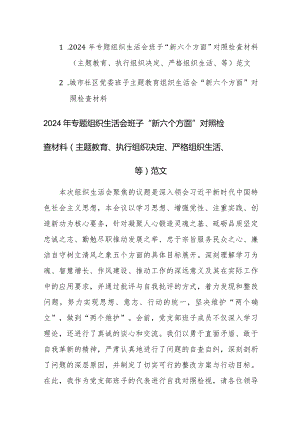 两篇：2024年专题组织生活会班子“新六个方面” 对照检查材料（主题教育、执行组织决定、严格组织生活、等）范文.docx