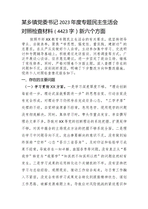 乡镇党委书记2023年度专题民主生活会对照检查材料（践行宗旨等6个方面）.docx