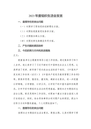 2篇支部党员书记2023-2024年度专题组织生活会对照四个方面个人检视发言材料.docx