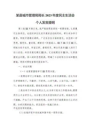 县城市管理局局长2023年度民主生活会个人发言提纲.docx