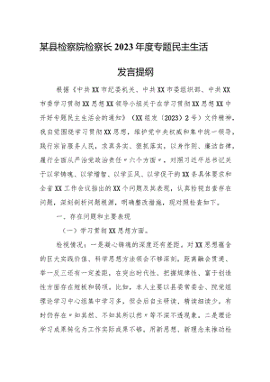 某县检察院检察长2023年度专题民主生活发言提纲.docx