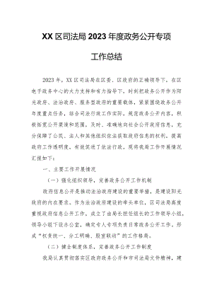 XX区司法局2023年度政务公开专项工作总结.docx