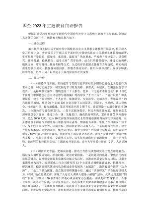 国企2023年主题教育自评报告.docx