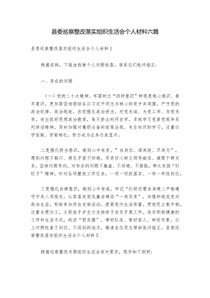 县委巡察整改落实组织生活会个人材料六篇.docx