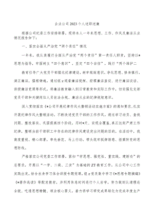 企业公司2023个人述职述廉.docx
