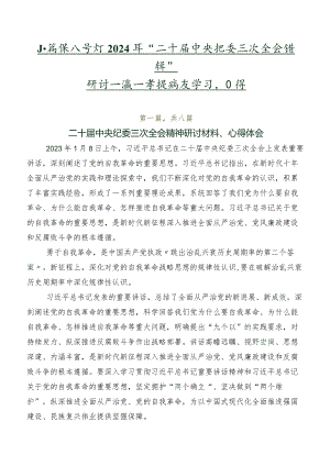八篇深入学习2024年“二十届中央纪委三次全会精神”研讨交流发言提纲及学习心得.docx