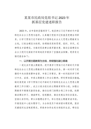 某某市民政局党组书记2023年抓基层党建述职报告.docx