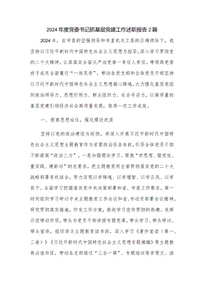 2024年度党委书记抓基层党建工作述职报告2篇.docx