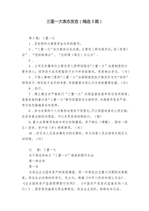 三重一大表态发言（精选3篇）.docx