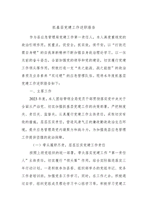 抓基层党建工作述职报告 2.docx