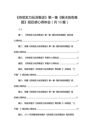 《持续发力纵深推进》第一集《解决独有难题》观后感心得体会（共13篇）.docx