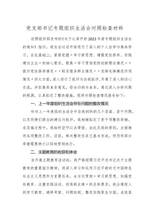 3篇党支部书记2023-2024年度专题组织生活会个人对照检查材料.docx