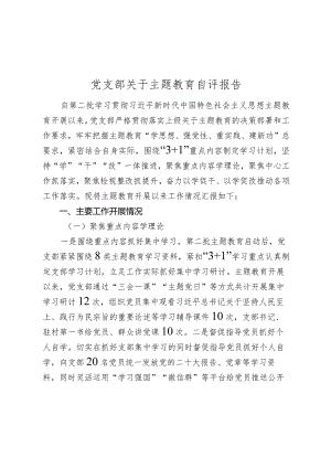 党支部关于2023-2024年度主题教育开展情况自评报告.docx