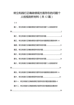 树立和践行正确政绩观方面存在的问题个人检视剖析材料12篇（精编版）.docx