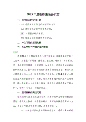 2篇党委书记2023-2024年度专题组织生活会四个方面检视班子成员个人对照检查发言.docx