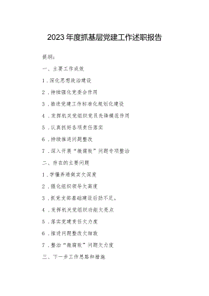 2023年度抓基层党建工作述职报告.docx