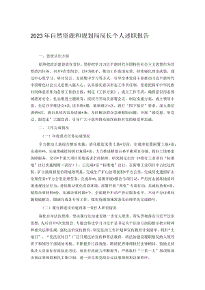 2023年自然资源和规划局局长个人述职报告.docx