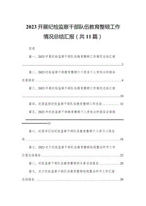 （11篇）开展纪检监察干部队伍教育整顿工作情况总结汇报范文.docx