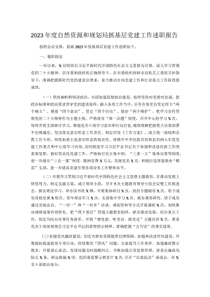 2023年度自然资源和规划局抓基层党建工作述职报告.docx