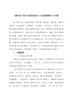 2篇纪委书记2023-2024年度专题生活会班子成员个人对照检查发言提纲（践行宗旨等6个方面+政绩观）.docx