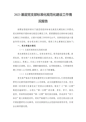 2023基层党支部标准化规范化建设工作情况报告.docx