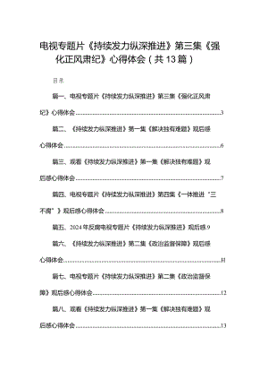 电视专题片《持续发力纵深推进》第三集《强化正风肃纪》心得体会13篇供参考.docx