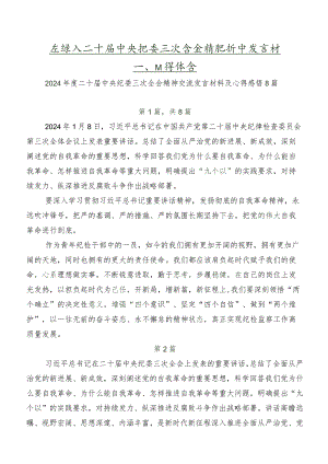 在深入学习二十届中央纪委三次全会精神研讨发言材料、心得体会.docx