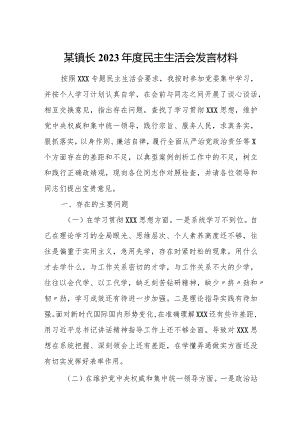 某镇长2023年度民主生活会发言材料.docx