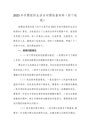 3篇支部2023-2024年专题组织生活会四个方面个人对照检查材料（四个检视）.docx