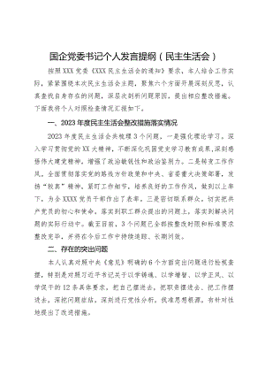 国企党委书记主题教育专题民主生活会个人发言提纲.docx
