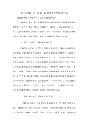 党支部书记关于落实一岗双责情况的报告二篇.docx