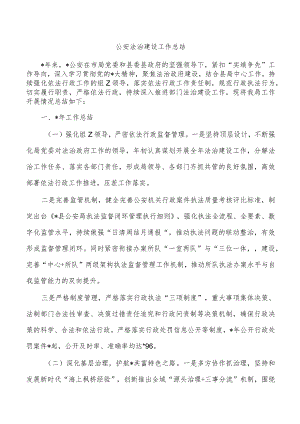 公安法治建设工作总结.docx