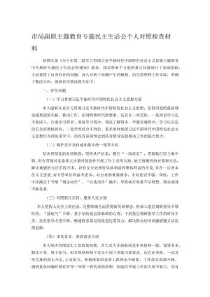 市局副职主题教育专题民主生活会个人对照检查材料.docx