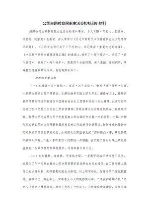 公司主题教育民主生活会检视剖析材料.docx