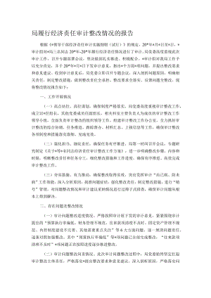 局履行经济责任审计整改情况的报告.docx