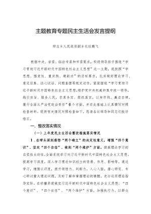 主题教育专题民主生活会发言提纲杜鹏飞.docx