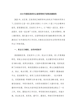 2023年度区政府办公室领导班子述职述廉报告.docx