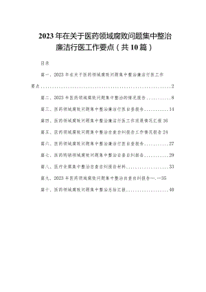 2023年在关于医药领域腐败问题集中整治廉洁行医工作要点（共10篇）.docx