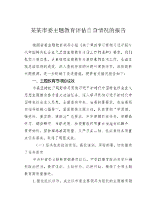 某某市委主题教育评估自查情况的报告.docx