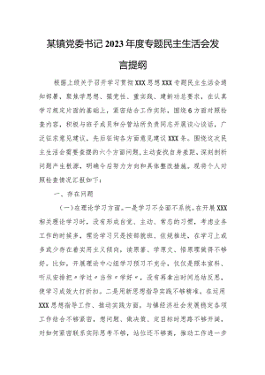 某镇党委书记2023年度专题民主生活会发言提纲.docx
