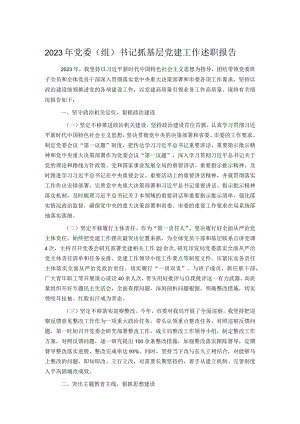 2023年党委（组）书记抓基层党建工作述职报告.docx