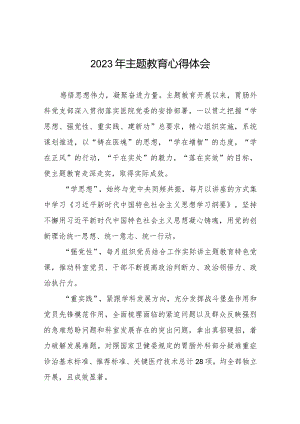 卫生院2023年主题教育心得体会八篇.docx