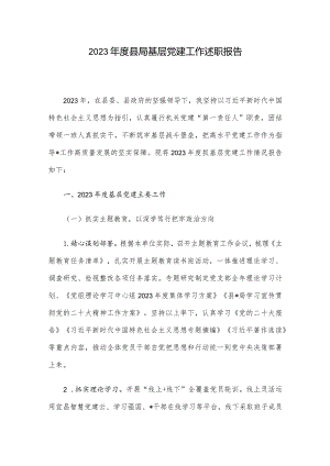 2023年度县局基层党建工作述职报告.docx