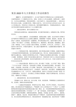 某县2023年人大常委会工作总结报告.docx