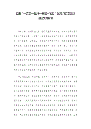 实施“一支部一品牌一书记一项目”过硬党支部建设经验交流材料.docx
