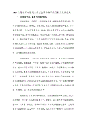 2024主题教育专题民主生活会领导班子成员相互批评意见.docx