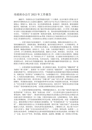 市政府办公厅2023年工作报告.docx