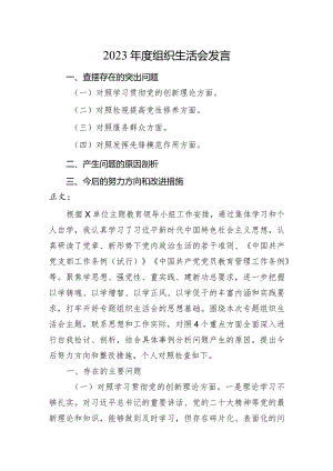 2篇支部2023-2024年度组织生活会四个方面个人对照检查发言.docx